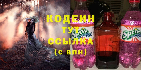 шишки Баксан