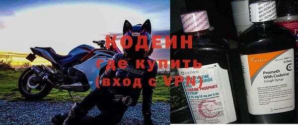 ГАЛЛЮЦИНОГЕННЫЕ ГРИБЫ Арсеньев