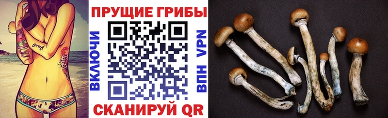 Псилоцибиновые грибы GOLDEN TEACHER  MEGA зеркало  Солнечногорск 